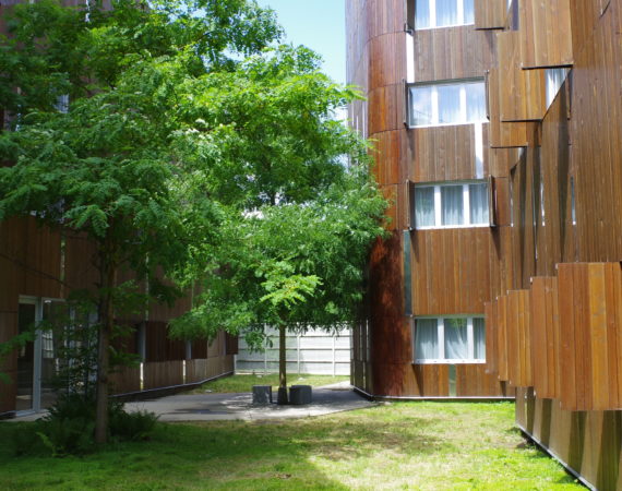 IMGP1289
